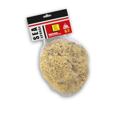 Trimaco 10131 Natural Grass Sea Sponge, 6-7"