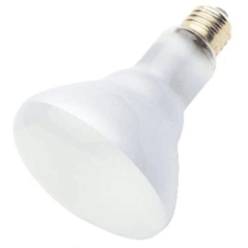 buy compact fluorescent light bulbs at cheap rate in bulk. wholesale & retail lighting equipments store. home décor ideas, maintenance, repair replacement parts