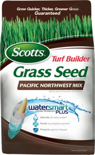 buy seeds at cheap rate in bulk. wholesale & retail lawn & plant maintenance items store.