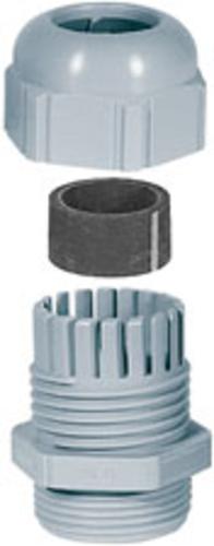 buy distributor tools at cheap rate in bulk. wholesale & retail automotive care tools & kits store.
