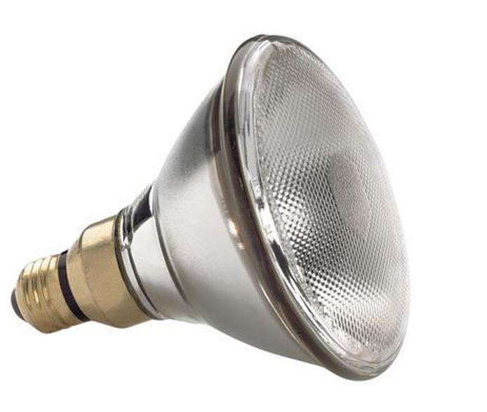 buy halogen light bulbs at cheap rate in bulk. wholesale & retail lighting equipments store. home décor ideas, maintenance, repair replacement parts