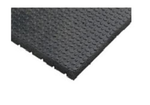 buy horse care supply at cheap rate in bulk. wholesale & retail farm maintenance equipments store.