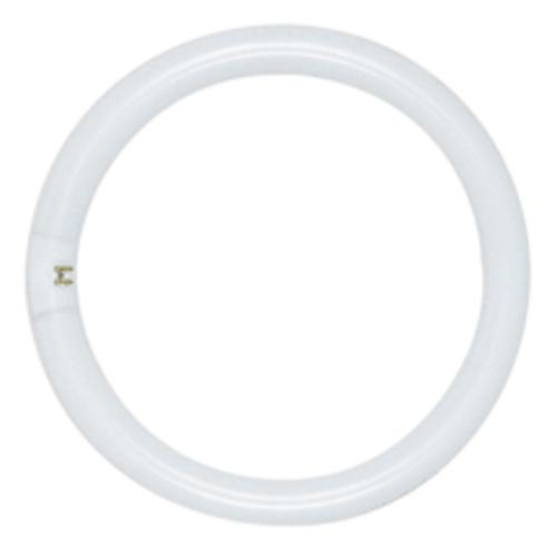 buy fluorescent circline light bulbs at cheap rate in bulk. wholesale & retail lighting parts & fixtures store. home décor ideas, maintenance, repair replacement parts