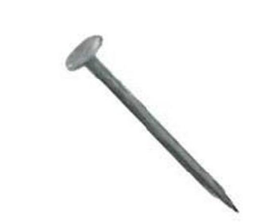 Stallion 112CTDDW111 Coated Drywall Nail, 1-1/2"
