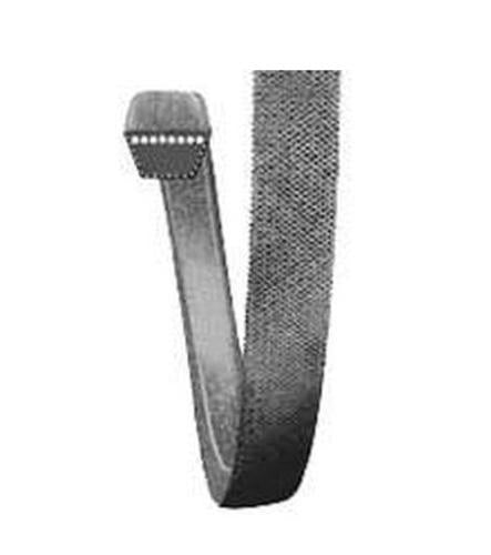 buy small engine v-belts at cheap rate in bulk. wholesale & retail garden maintenance power tools store.