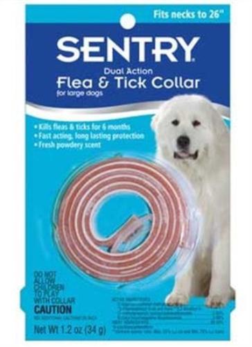 buy dogs collar at cheap rate in bulk. wholesale & retail birds, cats & dogs items store.