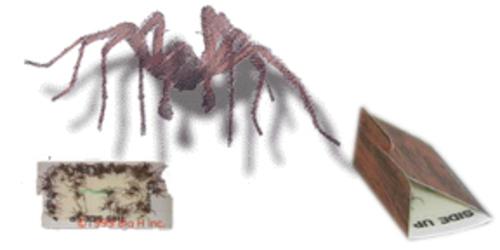 buy insect traps & baits at cheap rate in bulk. wholesale & retail insect pest control items store.