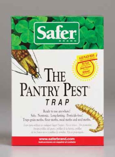 buy insect traps & baits at cheap rate in bulk. wholesale & retail insect pest control items store.