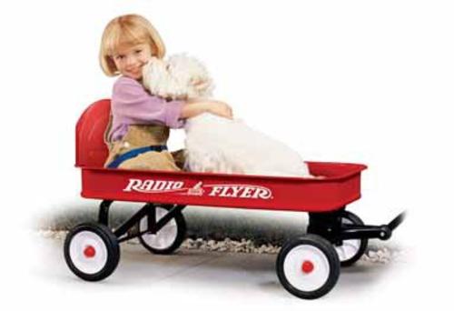 buy wheel goods at cheap rate in bulk. wholesale & retail sporting & camping goods store.