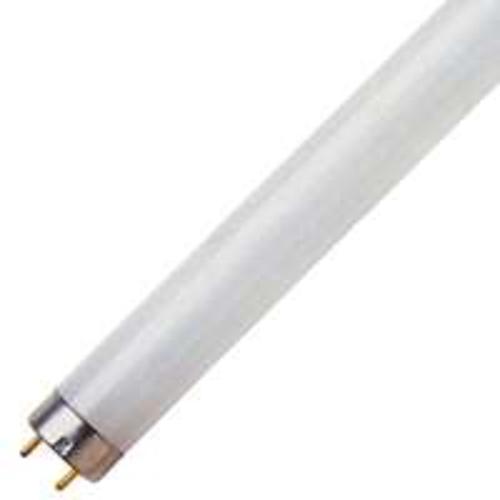 buy tubular light bulbs at cheap rate in bulk. wholesale & retail lighting & lamp parts store. home décor ideas, maintenance, repair replacement parts