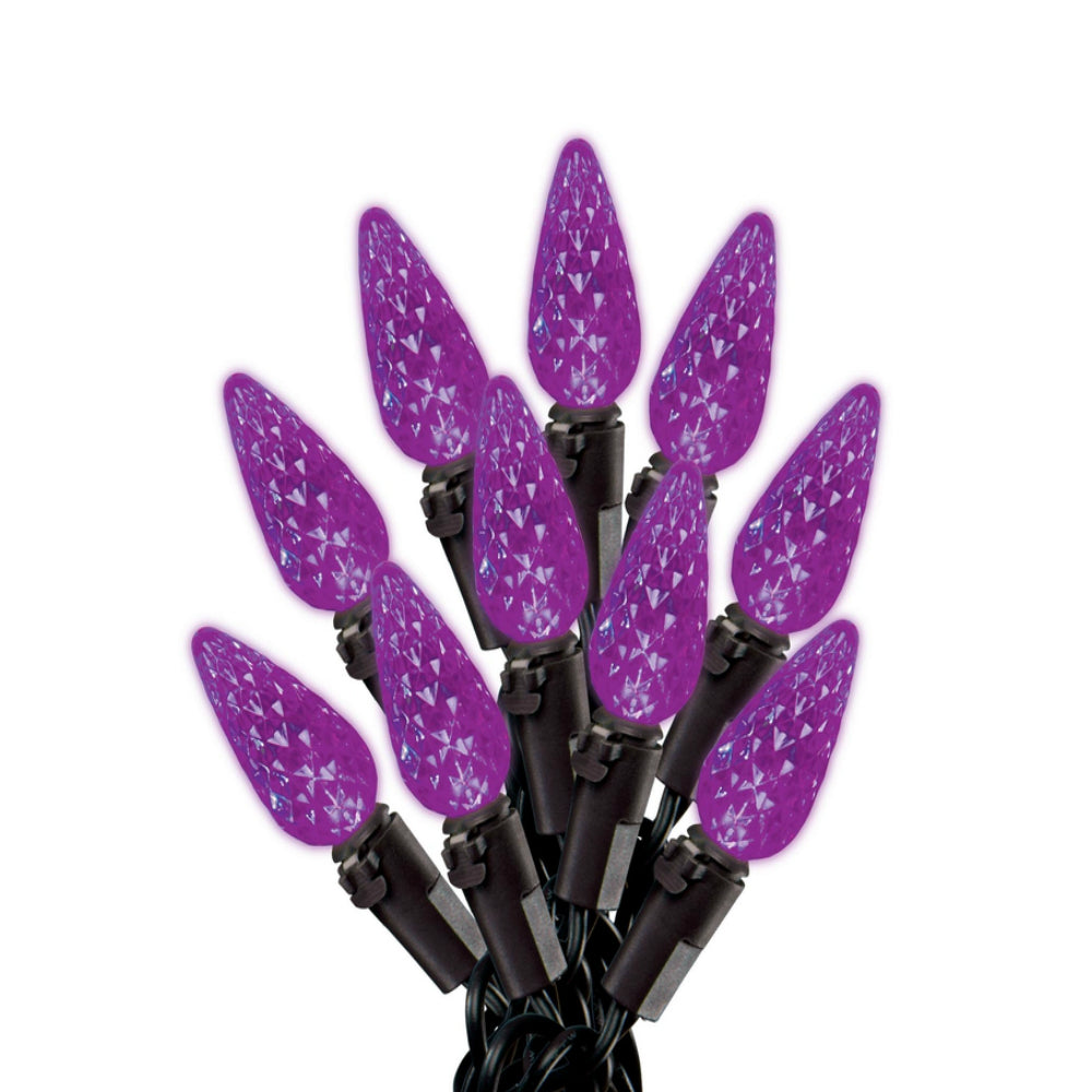 Celebrations 31325-71 LED C6 Lighted Halloween Lights, Purple
