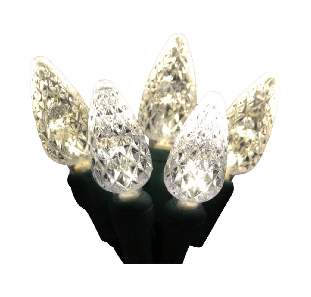 Celebrations LEDR-C650-WW6PA Platinum Christmas LED Light Set