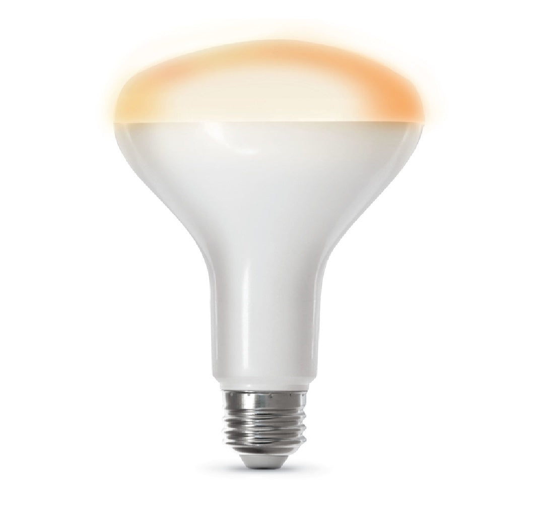 Feit Electric BR30/927CA/AG Smart WiFi LED Bulb, Soft White, 8 W