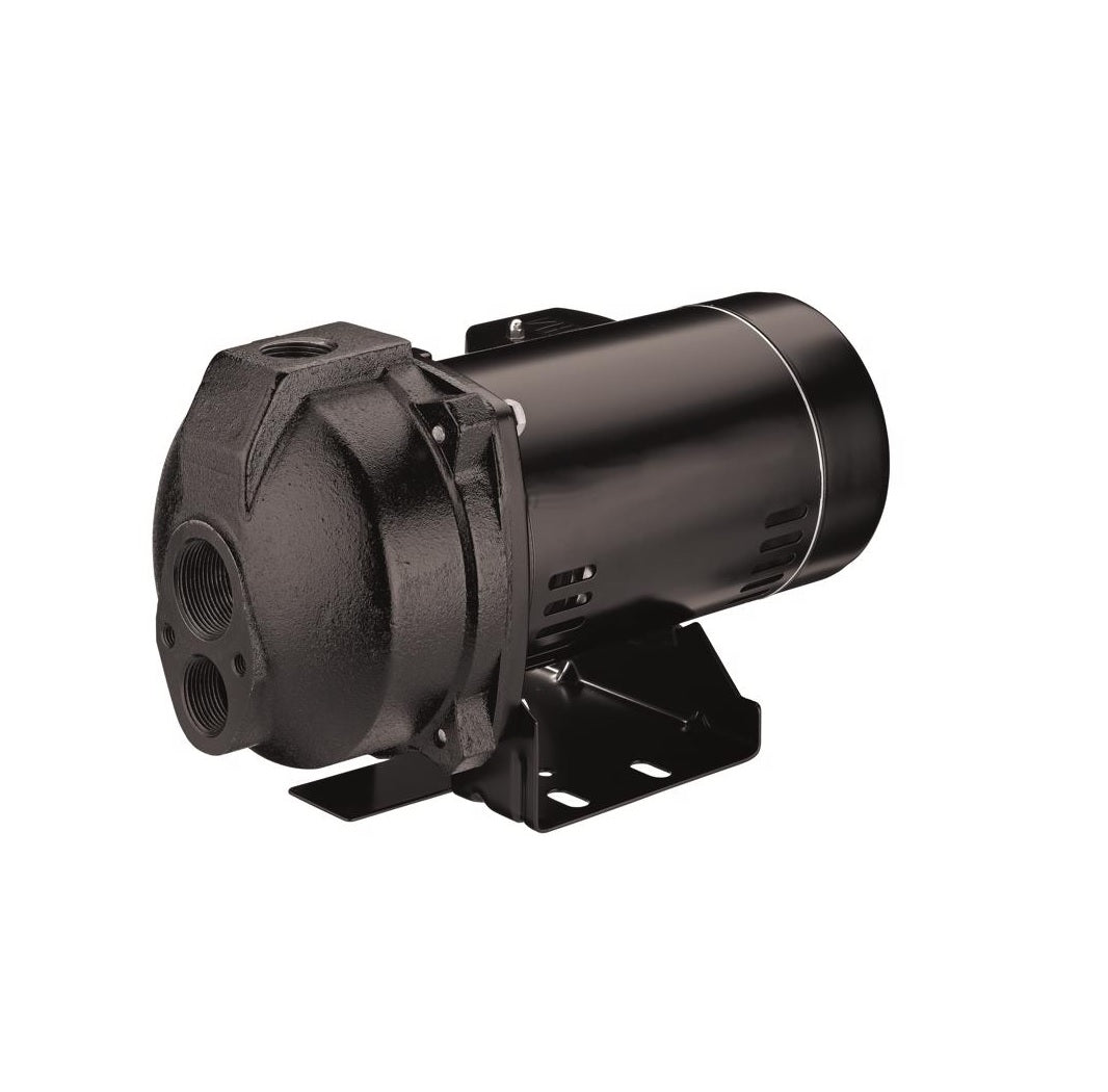 Flotec FP4542 Convertible Jet Well Pump, Cast Iron, 1/2 HP