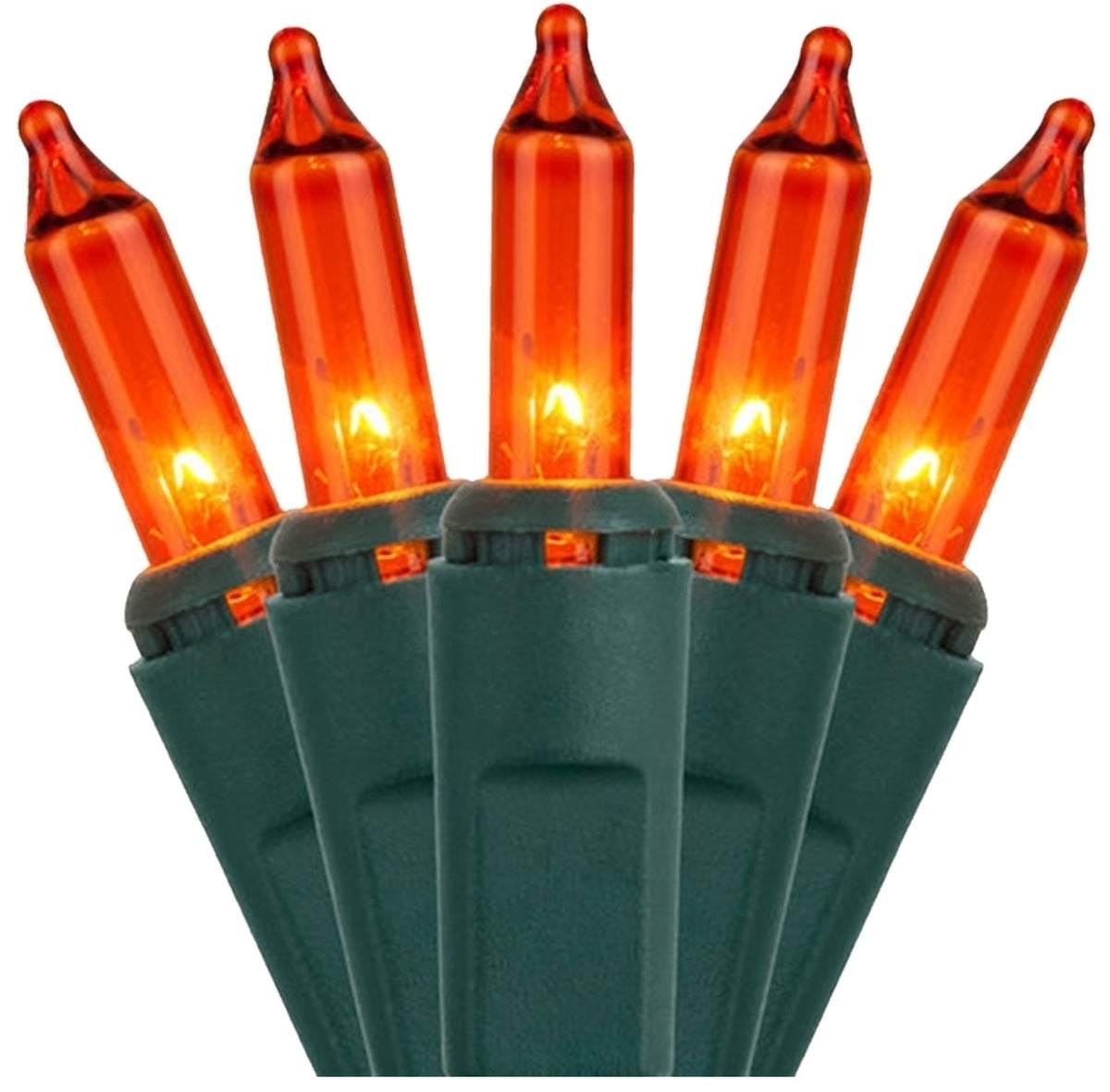 Hofert 2980-06/U13Y072U Hometown Holidays Mini Christmas Light Set, 100 Lights