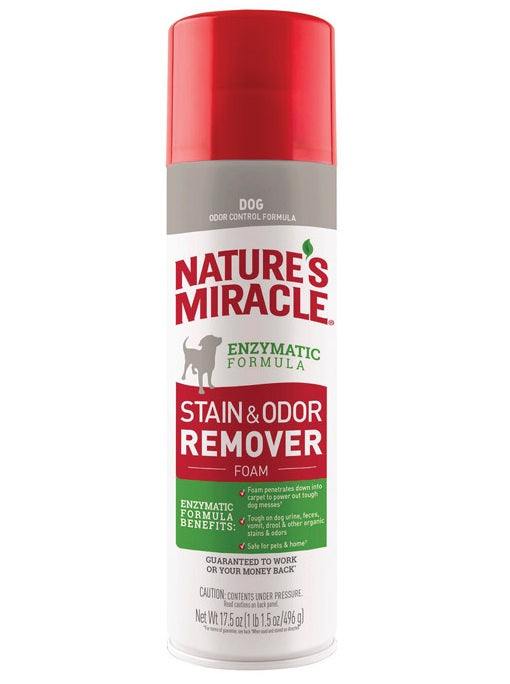 buy dogs odor & stain removers at cheap rate in bulk. wholesale & retail pet food supplies store.