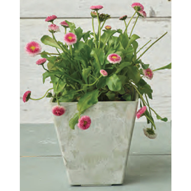 buy plant pots at cheap rate in bulk. wholesale & retail garden pots and planters store.