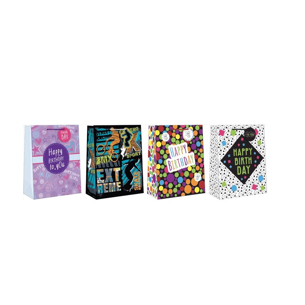 Paper Images EGBT3A-2 Large Tween Birthday Christmas Gift Bag, Assorted Color