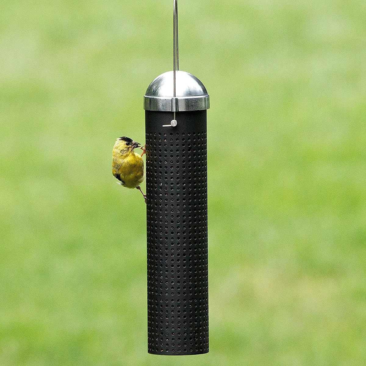 Perky-Pet FF10 Squirrel Shield Bird Feeder, Black