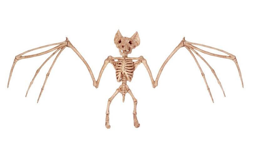 buy halloween indoor & outdoor decorations at cheap rate in bulk. wholesale & retail holiday & festival gift items store.