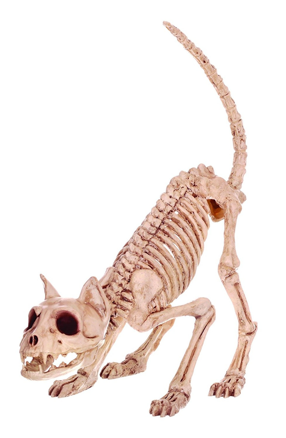 buy halloween indoor & outdoor decorations at cheap rate in bulk. wholesale & retail holiday gift items store.