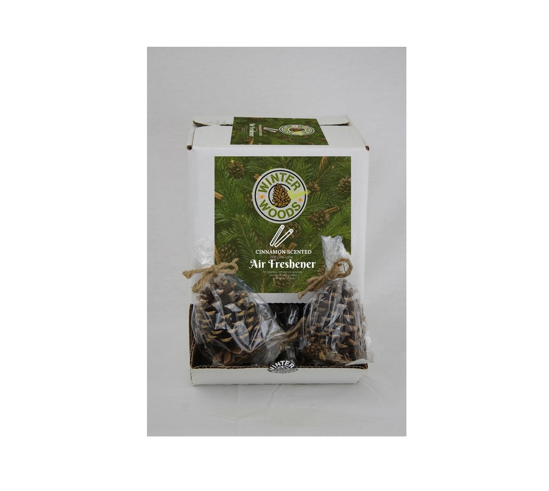Winter Woods 88-288 Cinnamon Scented Cone, 4 in