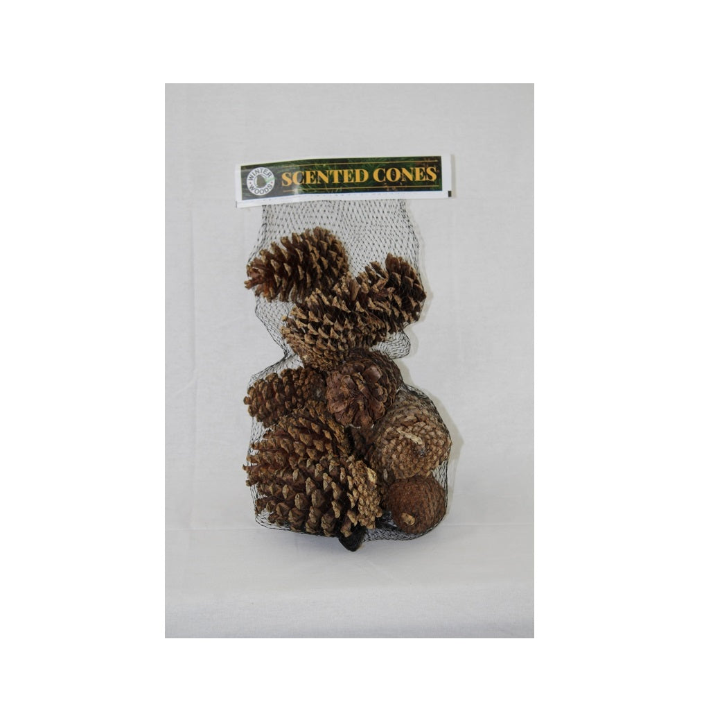 Winter Woods 88-267 Cinnamon Scented Cones, Pack of 14