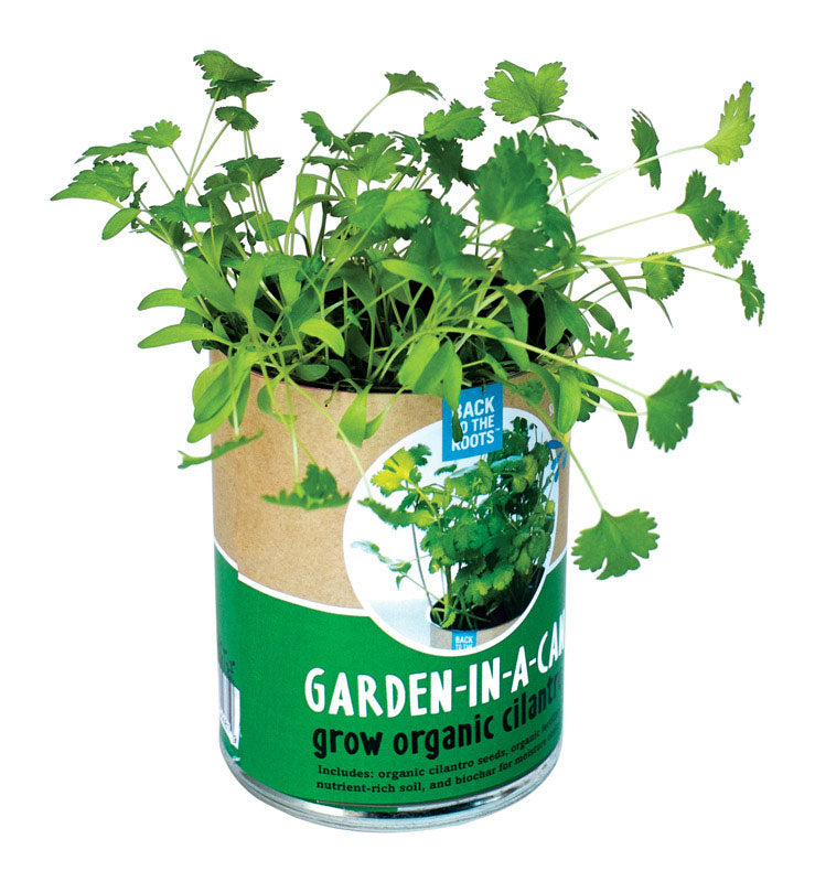 Back to the Roots 21200 Garden-In-A-Can Cilantro Garden