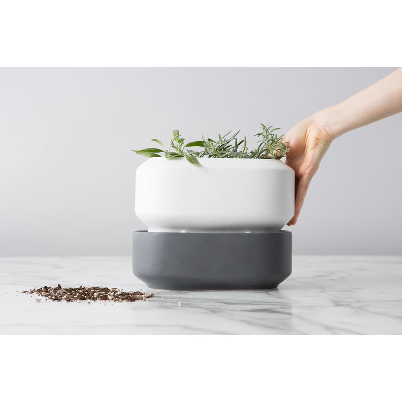 buy planters & pots at cheap rate in bulk. wholesale & retail garden edging & fencing store.
