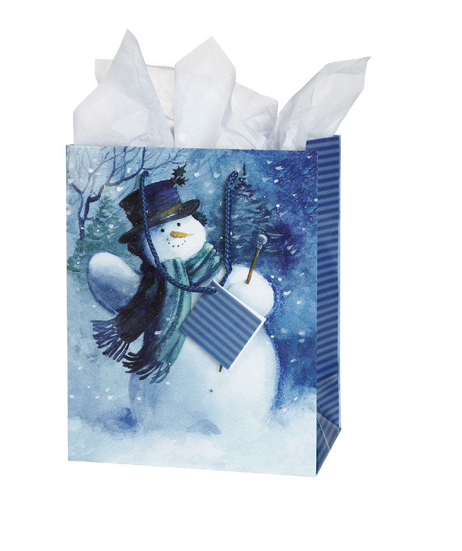 Cleo Wrap 14241321-B870 Traditional Cub Bag Assortment, 7.75" x 9.75" x 4.25"