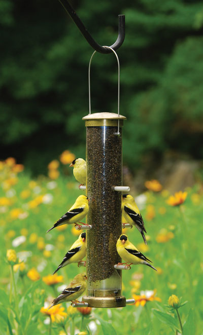 Cole's NN08 Nifty Niger Bird Feeder
