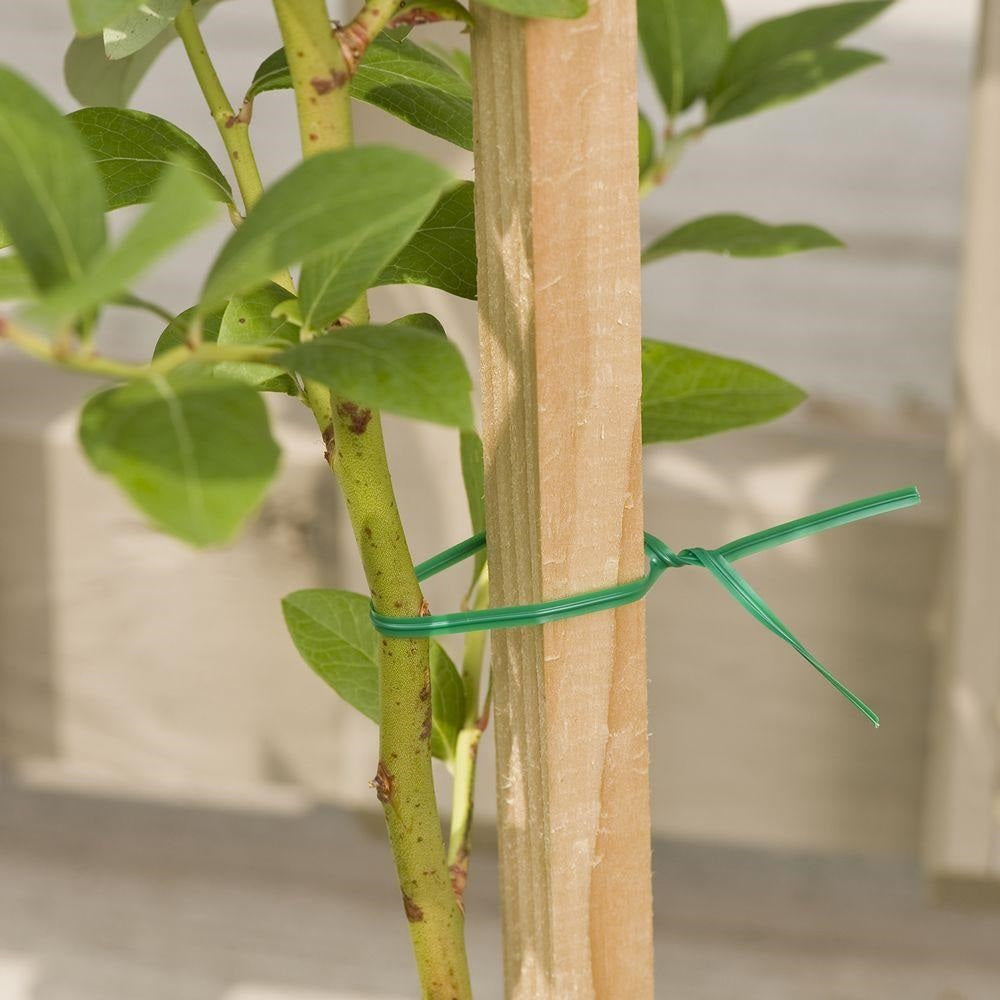 buy flower & plant support at cheap rate in bulk. wholesale & retail landscape maintenance tools store.