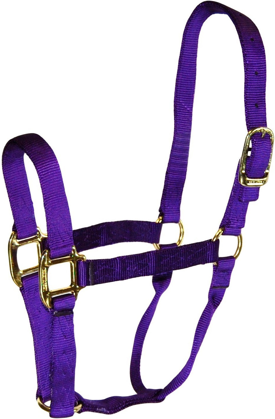 buy horse tack at cheap rate in bulk. wholesale & retail farm essentials & goods store.