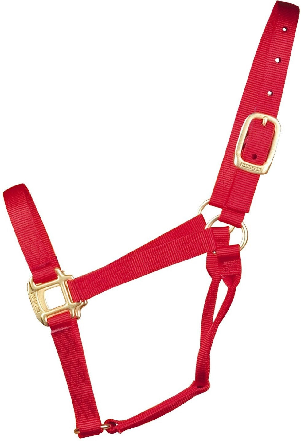 buy horse tack at cheap rate in bulk. wholesale & retail farm livestock supplies store.