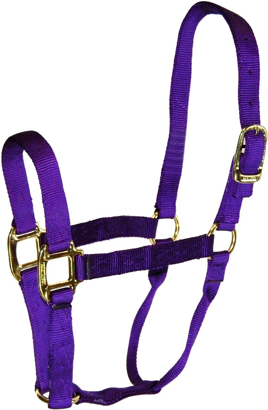 buy horse tack at cheap rate in bulk. wholesale & retail farm livestock maintenance items store.