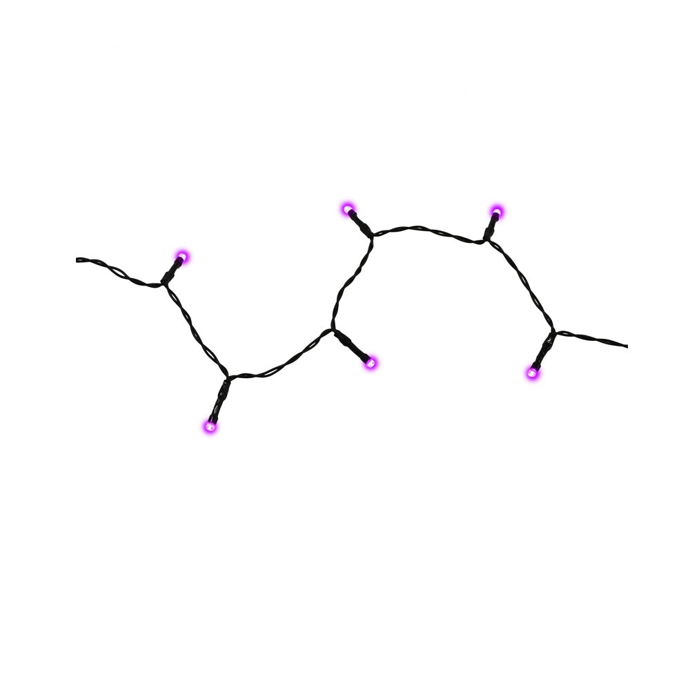 Celebrations BO5M50BPVCORPLA LED Light String Halloween Decor, Purple