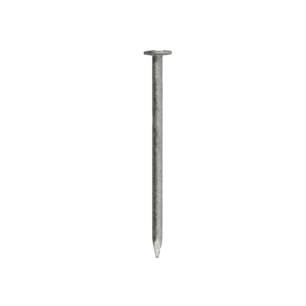 Grip-Rite 4HGBX1 Hot-Dipped Galvanized Box Nail, Steel, 1 lb