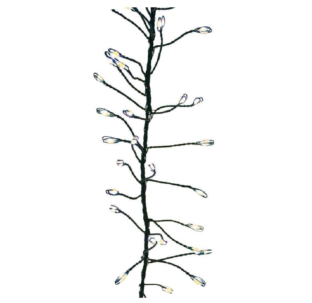 Celebrations BSCCX250WWA Gold LED String Christmas Lights