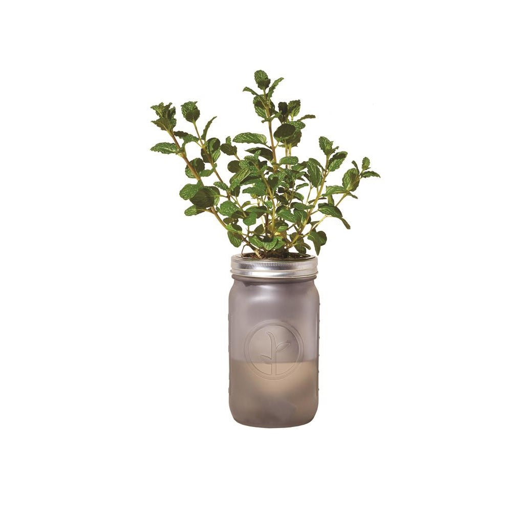 Modern Sprout MS-GJ-1021 Mint Hydroponic Grow Kit