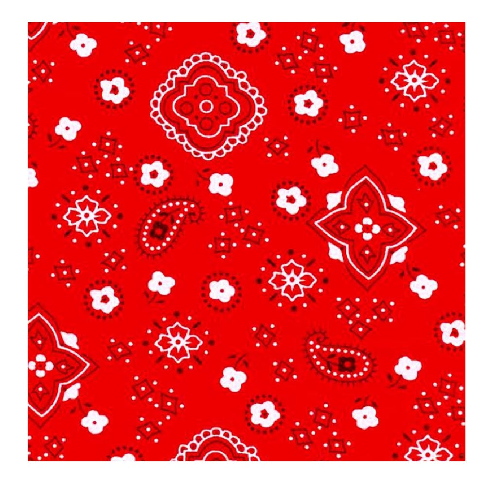 Regent 21874 One Size Fits Most Bandana, Assorted
