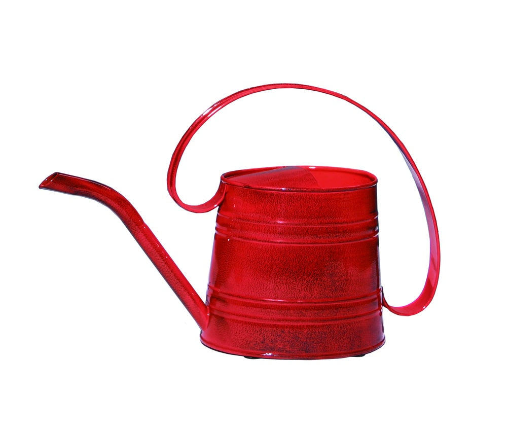 Robert Allen MPT01507 Danbury Watering Can, Metal, 0.5 gallon