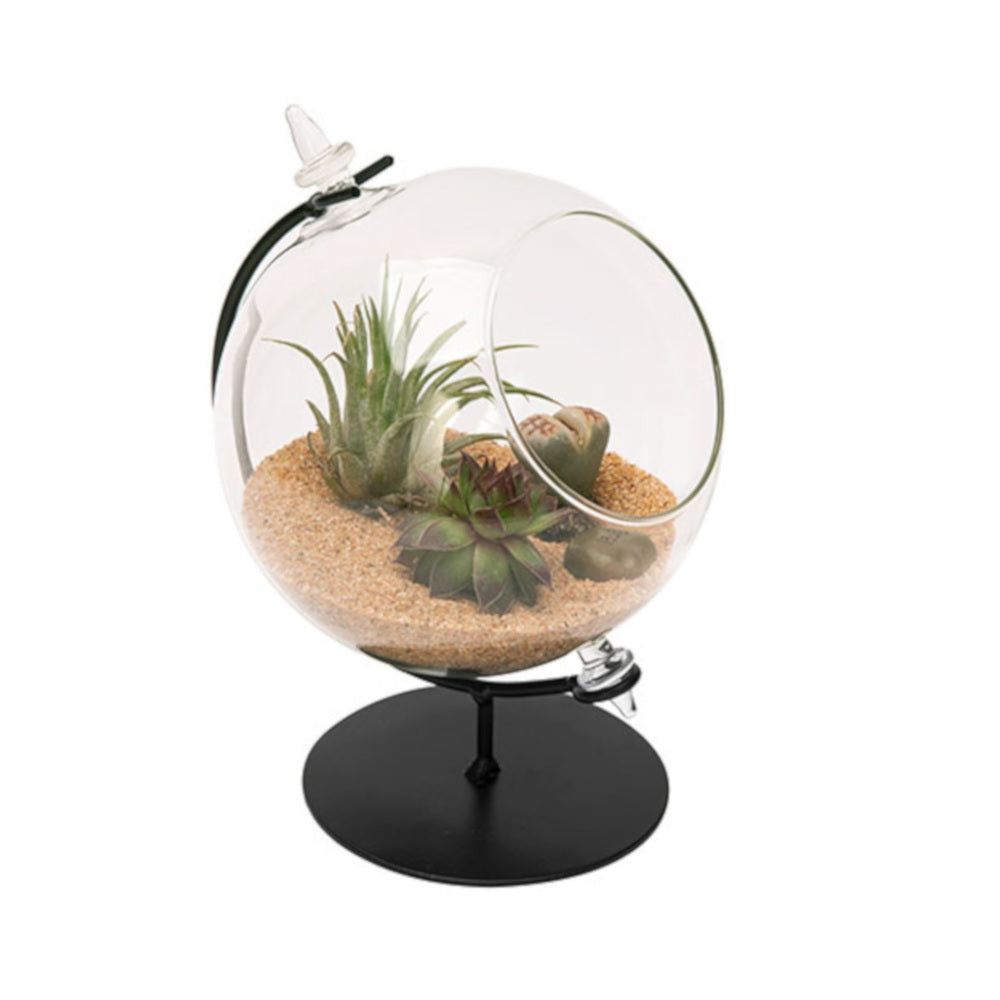 Panacea 82149 Desktop Terrarium with Stand, 4.5", Black/Clear