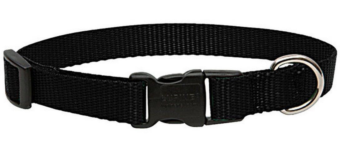 buy dogs collar at cheap rate in bulk. wholesale & retail bulk pet toys & supply store.