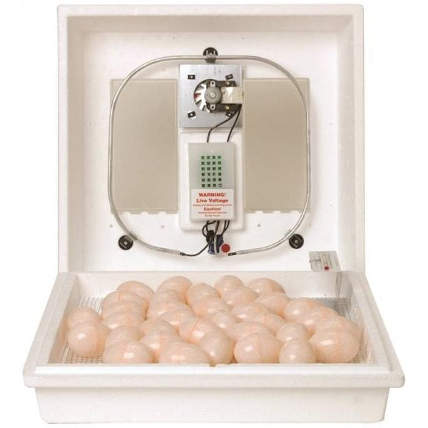 buy poultry equipment & items at cheap rate in bulk. wholesale & retail farm livestock supplies store.