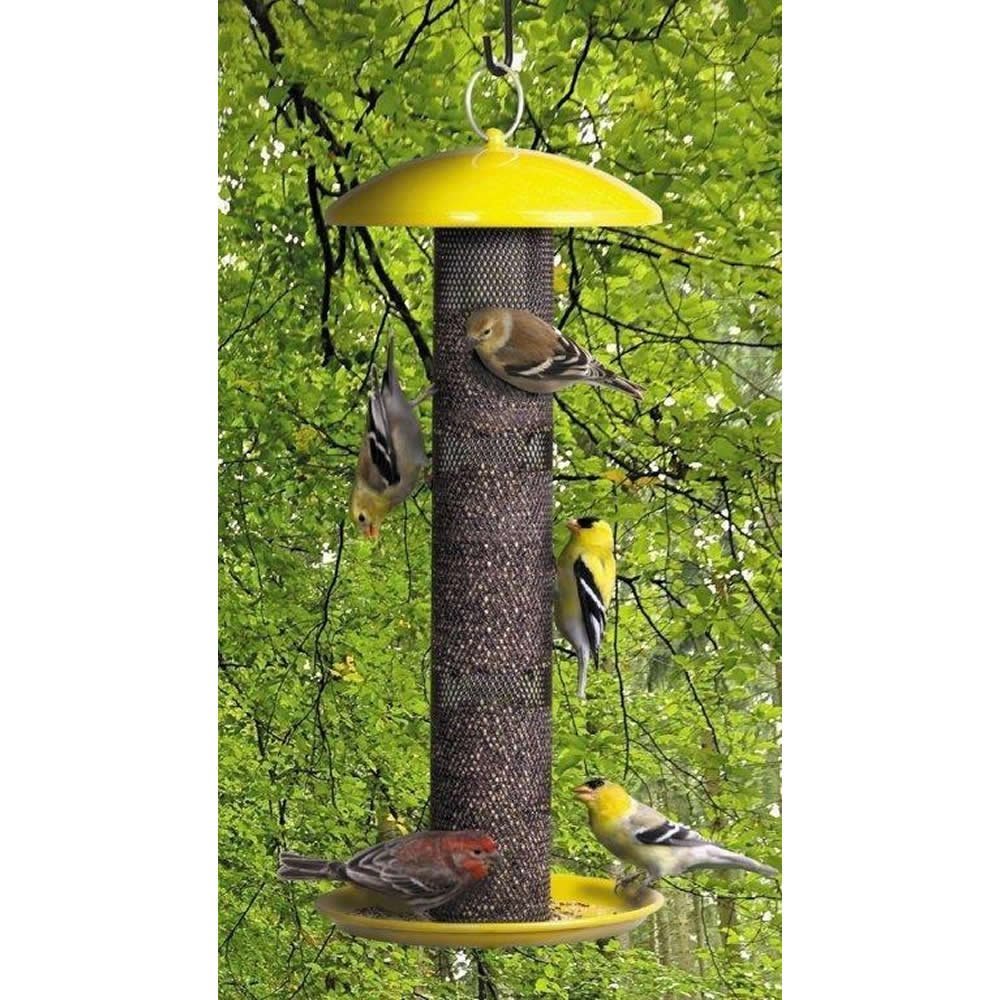 Perky Pet YSSF00346 No-No Straight Sided Finch Tube Feeder, 1.5 Lb