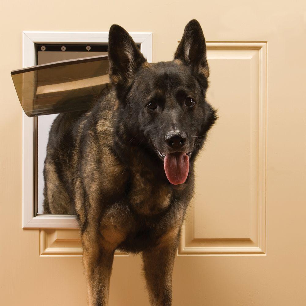 buy doors, gates & ramps for dogs at cheap rate in bulk. wholesale & retail birds, cats & dogs supplies store.