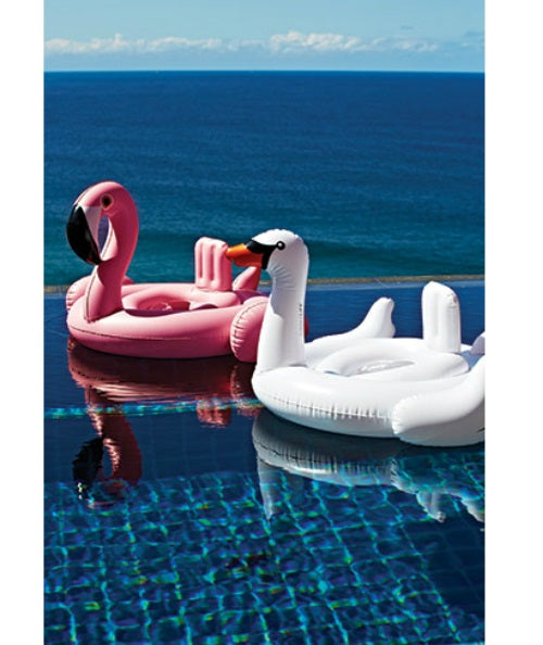 buy pool toys & floats at cheap rate in bulk. wholesale & retail outdoor living products store.
